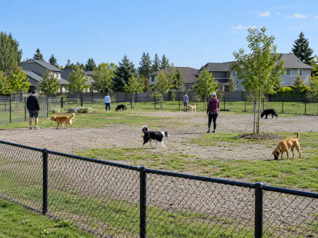 A realistic photo of a fenced neighbourhood dog enclosure with several dogs and handlers sharing an open gravel and grass area, surrounded by ordinary residential streets. No text, logos or identifiable real places.